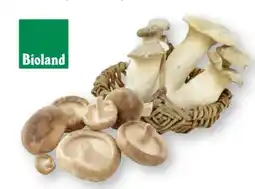 Scheck-in-Center Unsere Heimat Echt & Gut Bio Shii Take Angebot