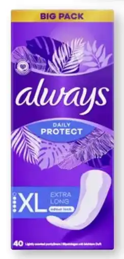 Scheck-in-Center Always Slipeinlagen Daily Protect Angebot