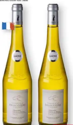 Scheck-in-Center Domaine de la Briaudière Muscadet Sèvre & Maine Sur Lie Angebot