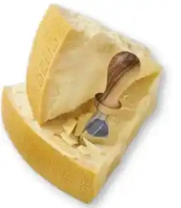 Scheck-in-Center Parmigiano Reggiano Angebot