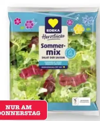Scheck-in-Center Edeka Herzstücke Salatmischung Angebot