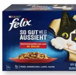 Scheck-in-Center Purina Felix Katzennahrung Angebot