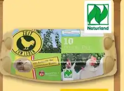 REWE Hessen Ei Bio Eier Angebot