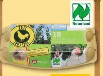 REWE Hessen Ei Bio Eier Angebot