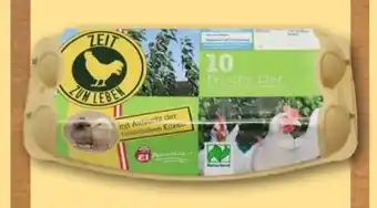 REWE Center Hessen Ei Bio Eier Angebot