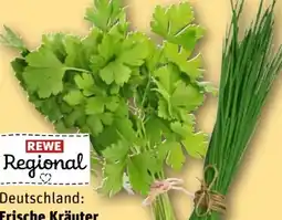 REWE Rewe Regional Kräuter Schnittlauch Angebot