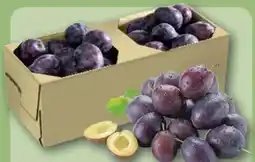 REWE Center Zwetschgen Angebot