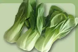 REWE Center Pak Choi Angebot