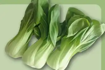 REWE Center Pak Choi Angebot