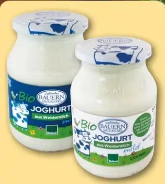 REWE Center Upländer Bauern Molkerei Bio Joghurt aus Weidemilch Mild Angebot
