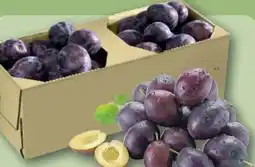 REWE Zwetschgen Angebot
