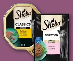 REWE Sheba Classics Angebot