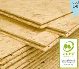 Hellweg OSB 3 EN 300-Verlegeplatte Angebot