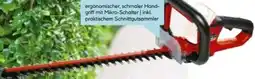 Hellweg Einhell Akku-Heckenschere Arcurra 18/55 Solo Angebot