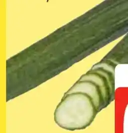 Edeka Frischemarkt Gut & Günstig Salatgurke Angebot