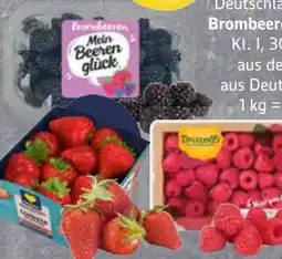 Edeka Frischemarkt Driscoll's Himbeeren Angebot