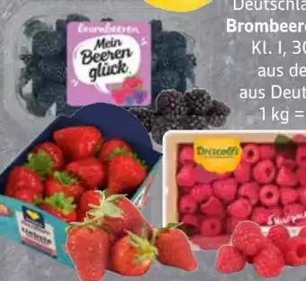 Edeka Frischemarkt Driscoll's Himbeeren Angebot
