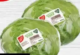 Edeka Gut & Günstig Eisbergsalat Angebot
