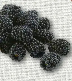 nahkauf Rewe Beste Wahl Brombeeren Angebot