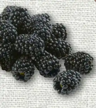nahkauf Rewe Beste Wahl Brombeeren Angebot