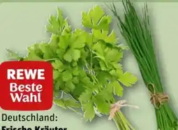 REWE Center Rewe Beste Wahl Kräuter Schnittlauch Angebot