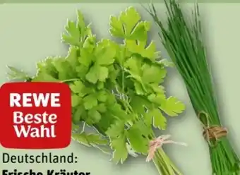 REWE Center Rewe Beste Wahl Kräuter Schnittlauch Angebot