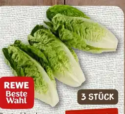 nahkauf Rewe Beste Wahl Romana Salatherzen Angebot