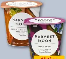 REWE Center Harvest Moon Bio-Kokosmilch Joghurt Angebot