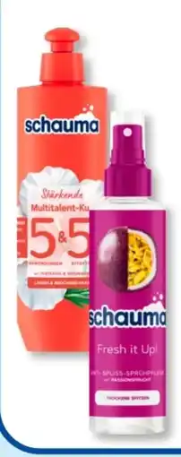 Budni Schwarzkopf Schauma Sprühspülung Angebot