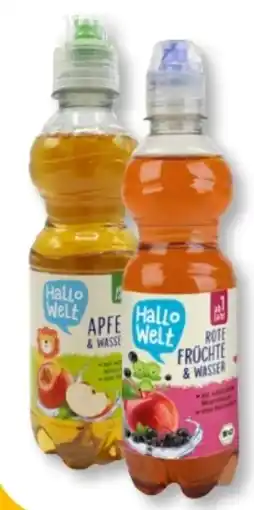 Budni Hallo Welt Bio Saftschorle Angebot