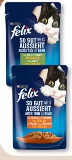 Budni Purina Felix Katzennahrung Angebot