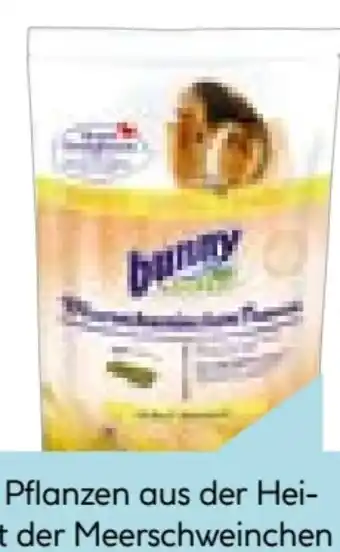 Hellweg Bunny Meerschweinchenfutter Meerschweinchen-Traum Angebot