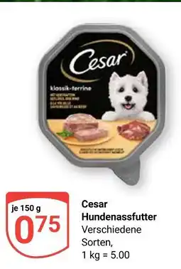 Globus Cesar hundnassfutter Angebot