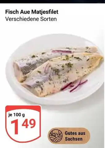 Globus Fisch aue matjesfilet Angebot