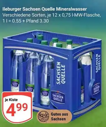 Globus Ileburger sachsen quelle mineralwasser Angebot