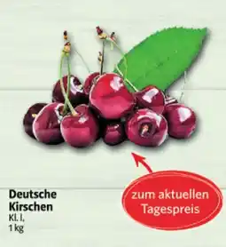 Markant Deutsche kirschen Angebot