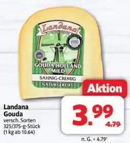 Markant Landana gouda Angebot