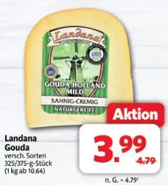 Markant Landana gouda Angebot
