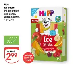 Globus Hipp ice sticks Angebot