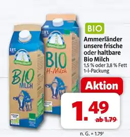 Markant Ammerländer bio milch Angebot
