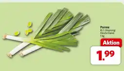 Markant Porree Angebot