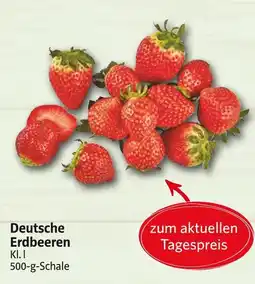 Markant Deutsche erdbeeren Angebot