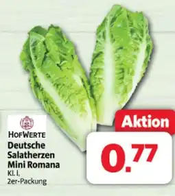 Markant Hofwerte deutsche salatherzen mini romana Angebot