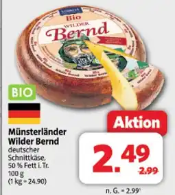 Markant Münsterländer wilder bernd Angebot