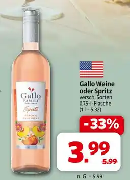 Markant Gallo weine oder spritz Angebot