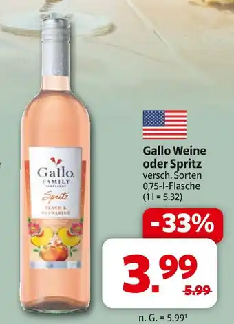 Markant Gallo weine oder spritz Angebot