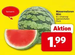 Markant Wassermelonen mini Angebot