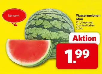 Markant Wassermelonen mini Angebot