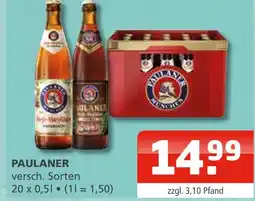 Getränke Oase Paulaner paulaner Angebot