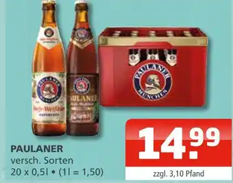 Getränke Oase Paulaner paulaner Angebot